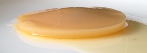SCOBY-1